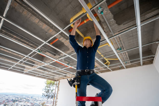 Best Best Plumbers Near Me  in Roland, IA