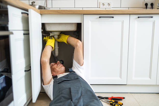 Best Clogged Drain Plumber  in Roland, IA